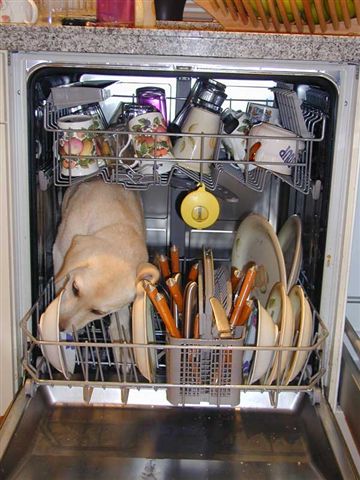 how_dishwashers_really_work how dishwashers really work